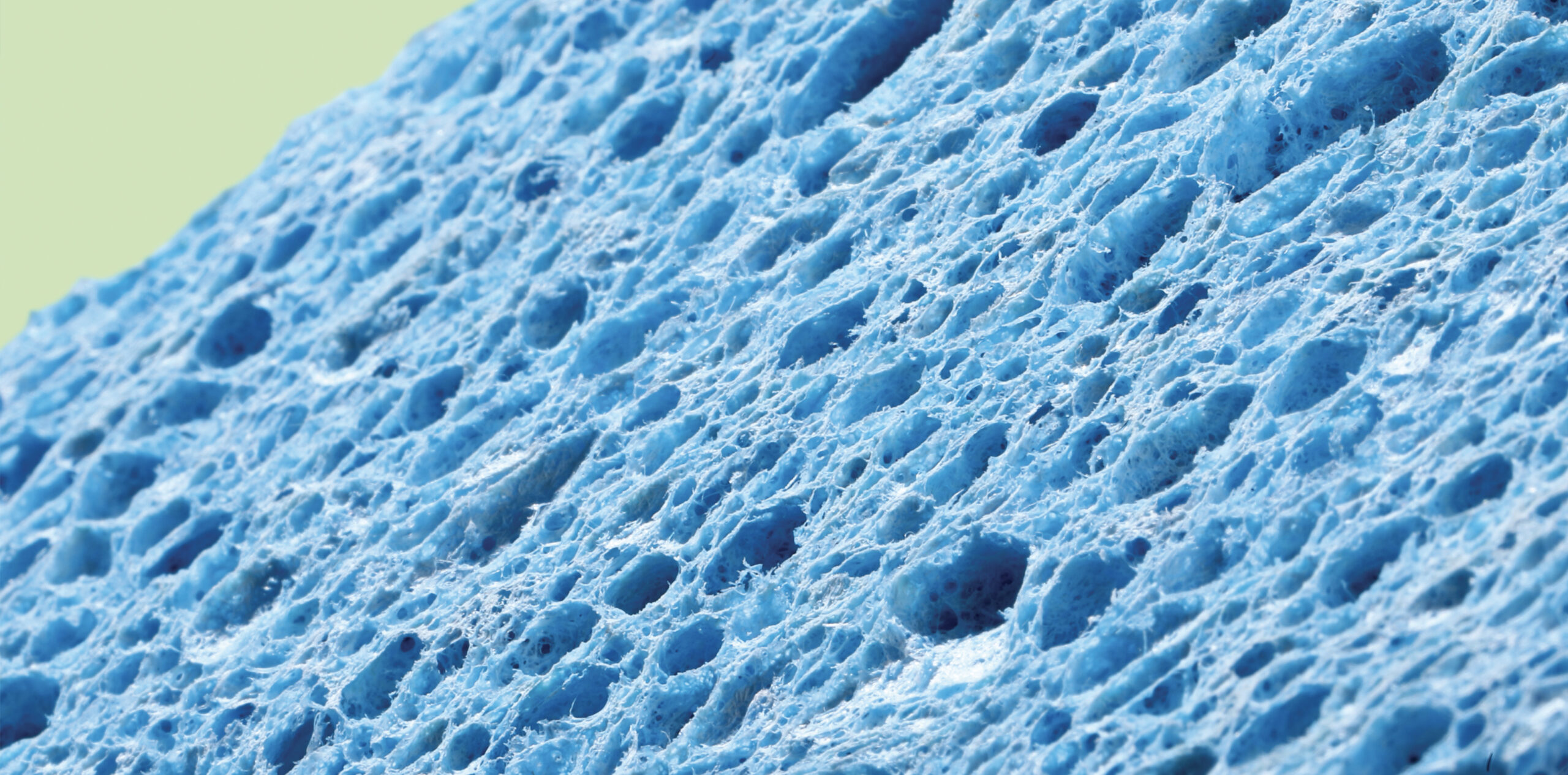 A close-up of a blue sponge.